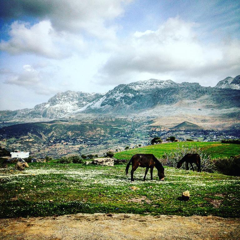 Dar Jiblia Villa Şafşavan Dış mekan fotoğraf